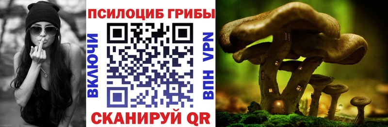 Купить  Лосино-Петровский  Галлюциногенные грибы ЛСД 